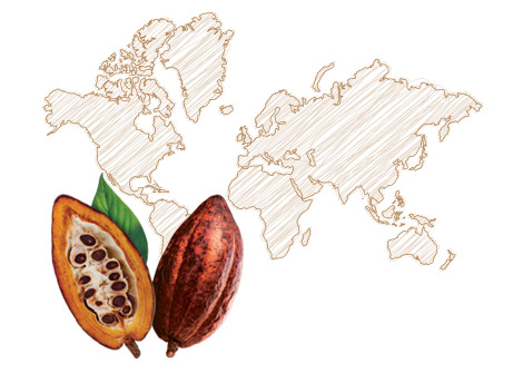 Carte monde
