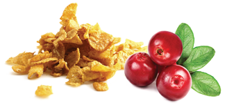 Chocolat Noir Cranberries Céréales Bio Équitable KAOKA