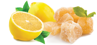 chocolat noir bio citron gingembre