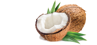 chocolat noir bio noix de coco