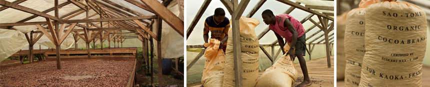 Cooperative producteurs cacao bio sao tome