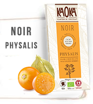 chocolat-noir-bio-physalis