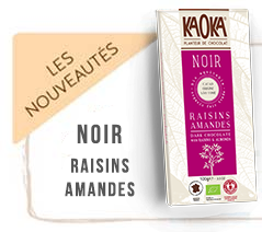 chocolat-noir-bio-raisins-amandes