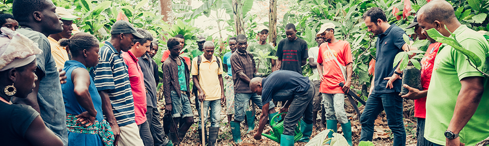 filiere cacao bio equitable sao tome