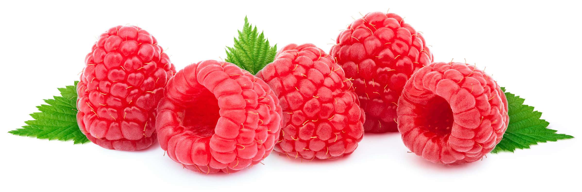 fruits rouges